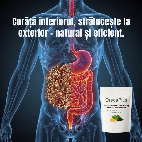 Casa Echilibrului Facebook ad: Economisiți 50%