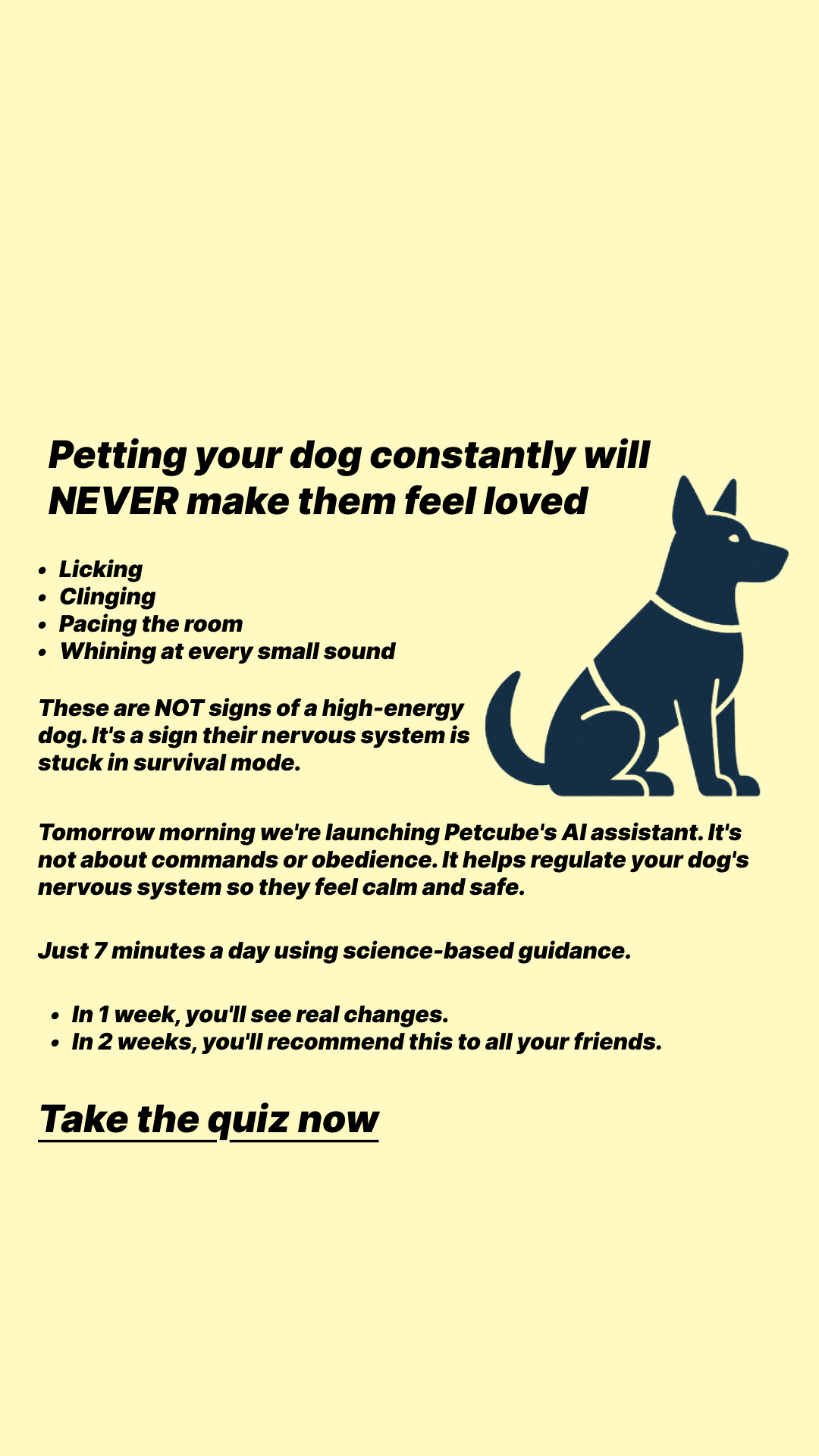 Petcube Facebook ad