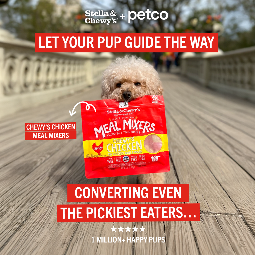 Stella & Chewy's Facebook ad