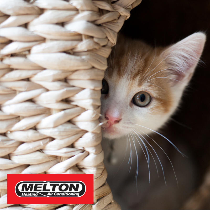 Melton Heating and Air Conditioning Facebook ad: Keep every corner of your home as comfortable…