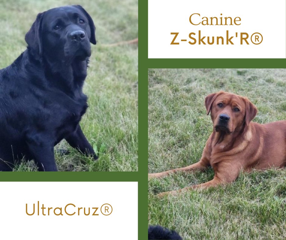 UltraCruz Facebook ad: Canine Z-Skunk'R for Dogs, UltraCruz | Santa Cruz Animal…