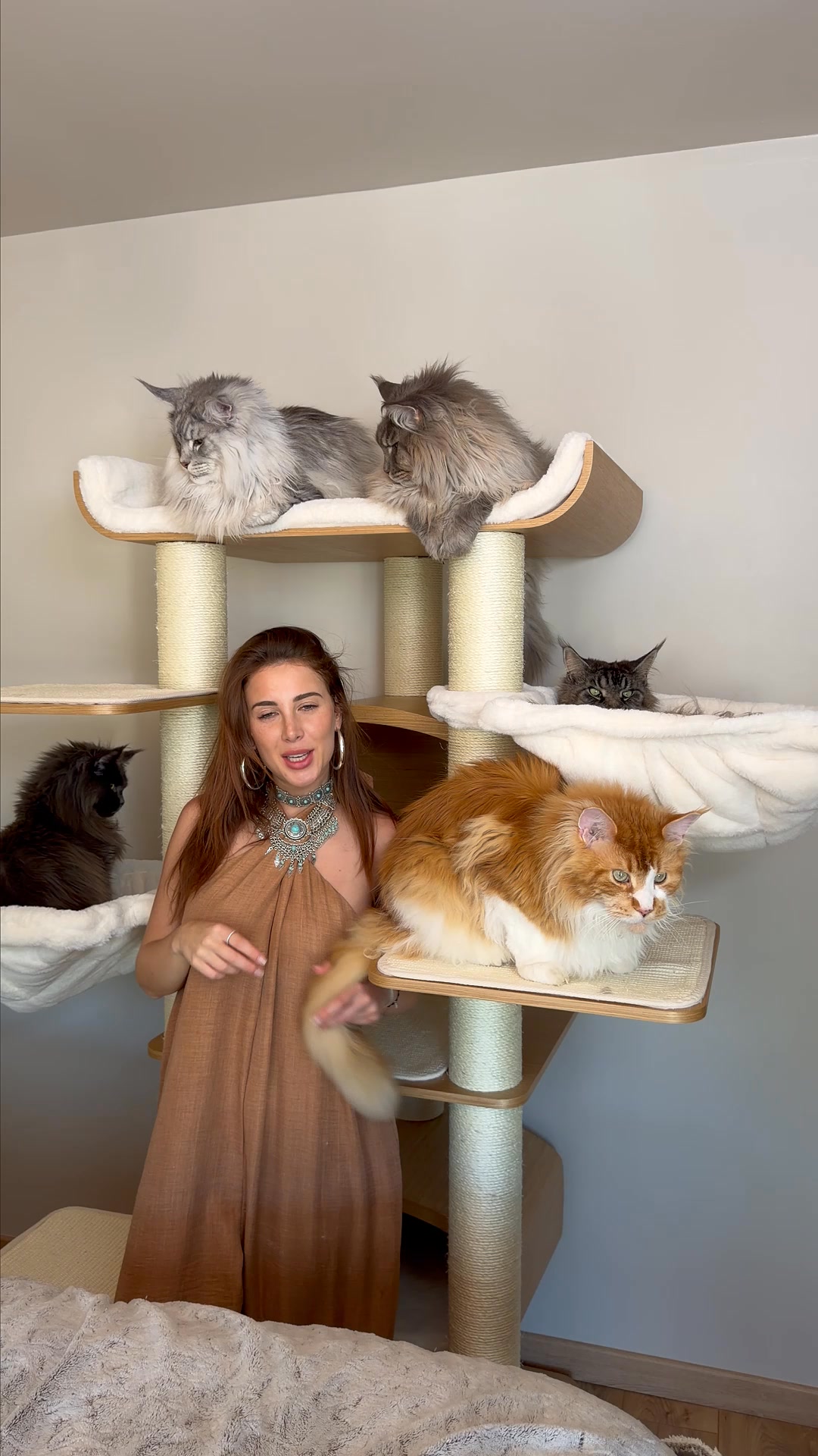petrebels.com Facebook ad: Pour chats actifs