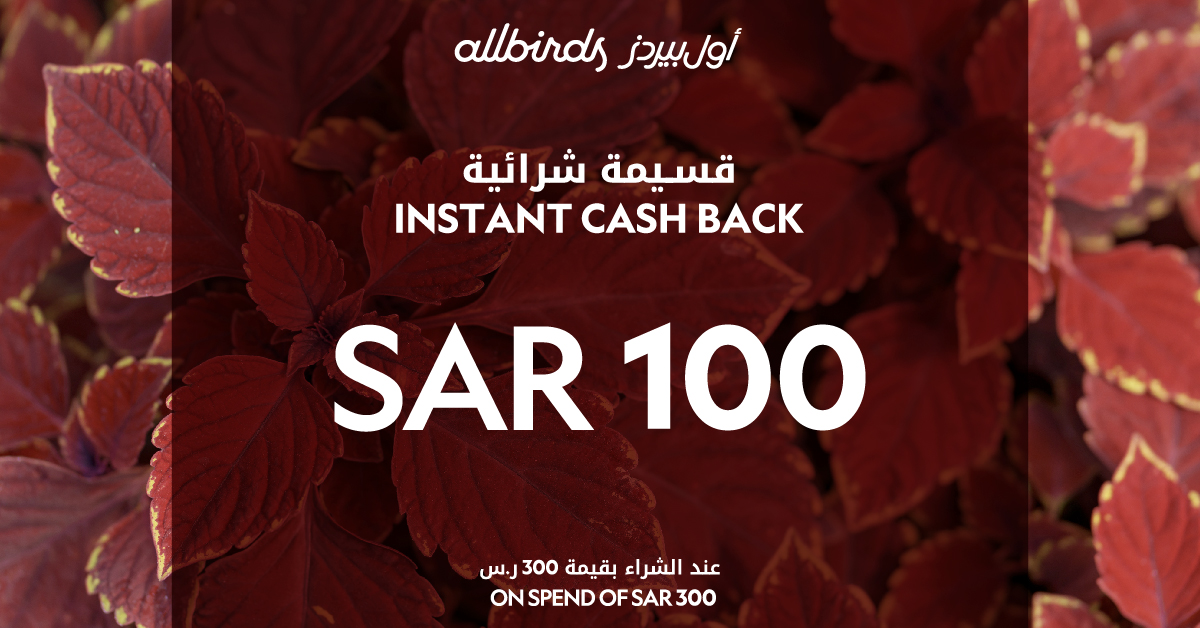 Allbirds ME Facebook ad