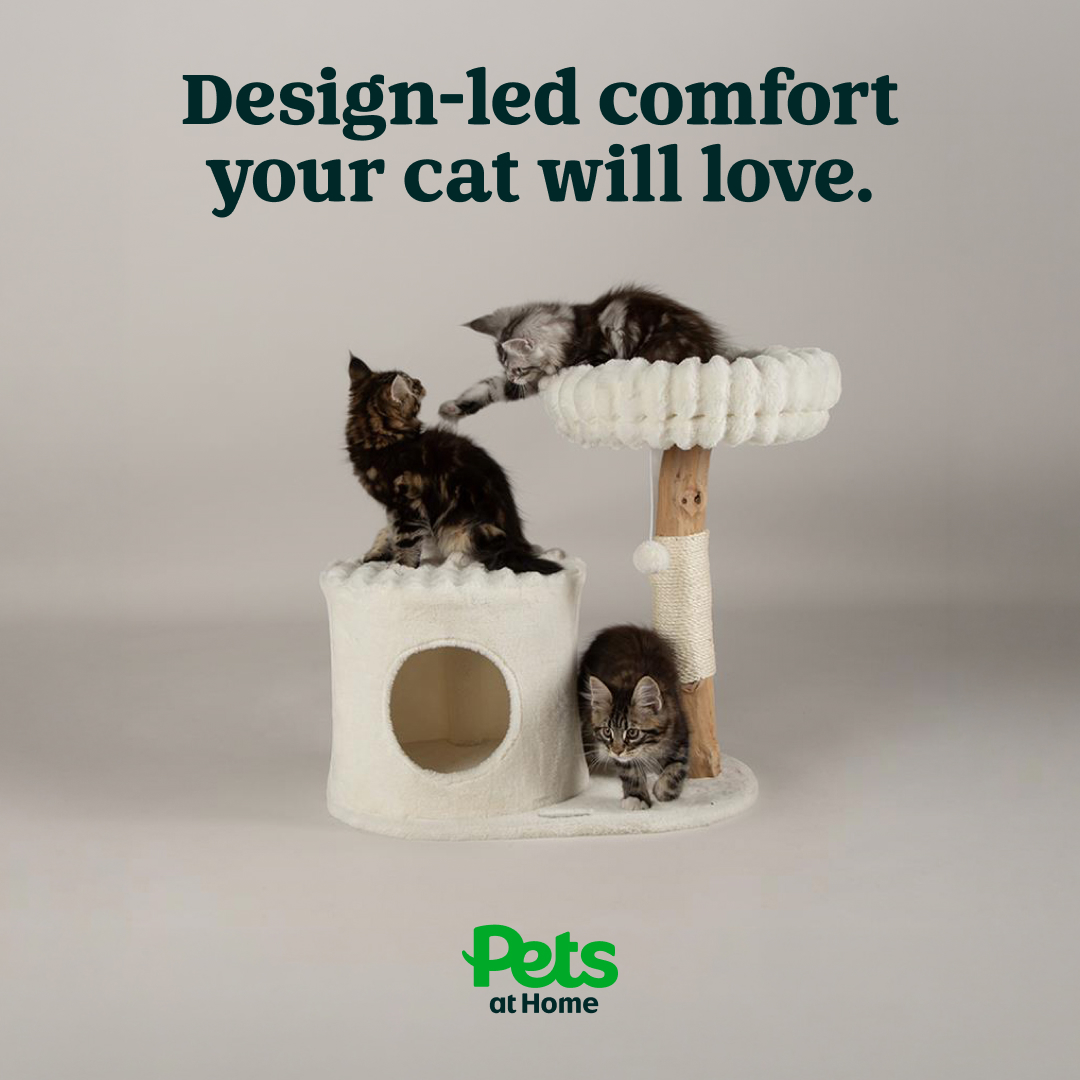 Pets UK Facebook ad: Shop the Scruffs collection today
