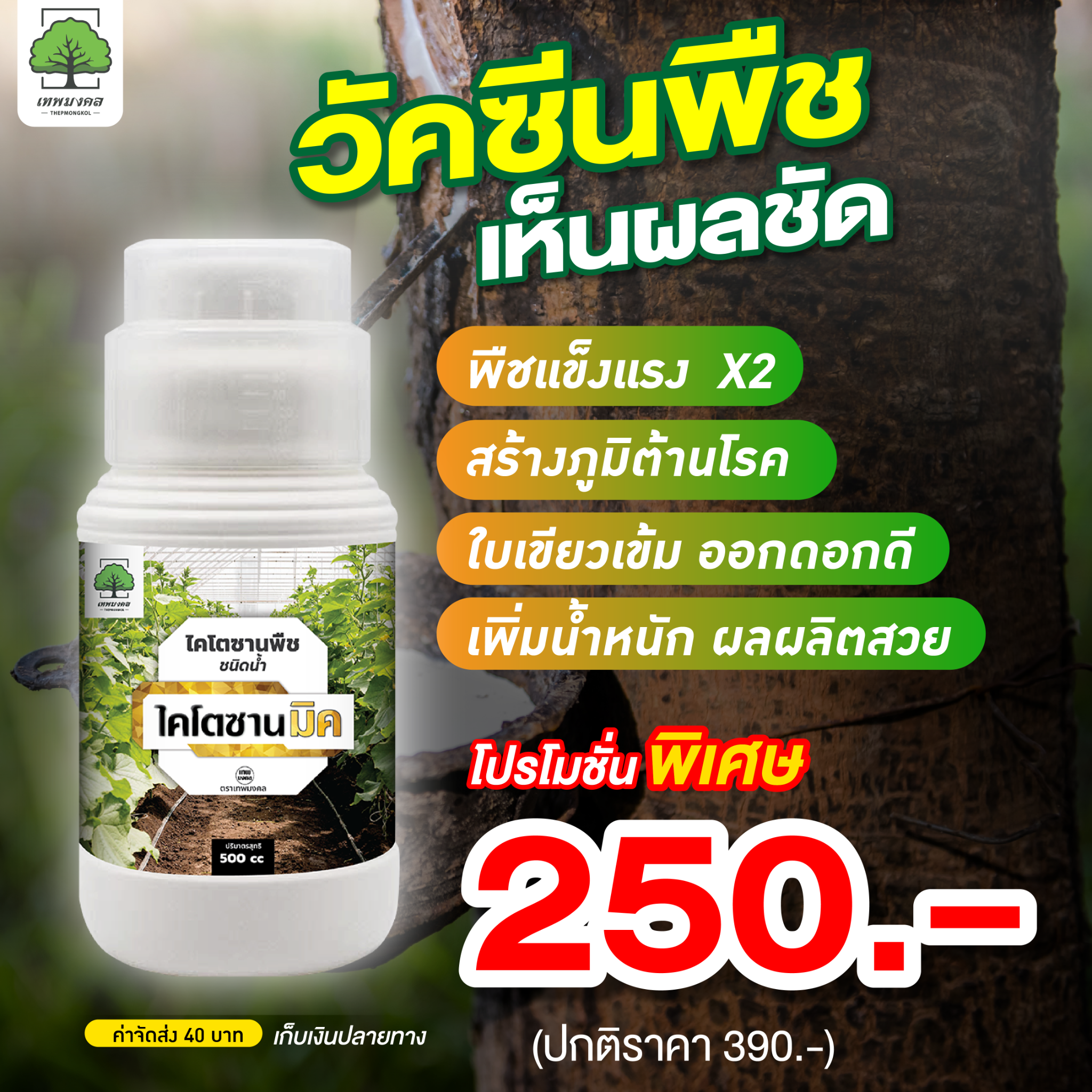 ไคโตซานมิค เสริมภูมิคุ้มกัน ยับยั้งโรคพืช Facebook ad: สั่งเลยวันนี้ รับโปร 3แถม1 ทักเลย