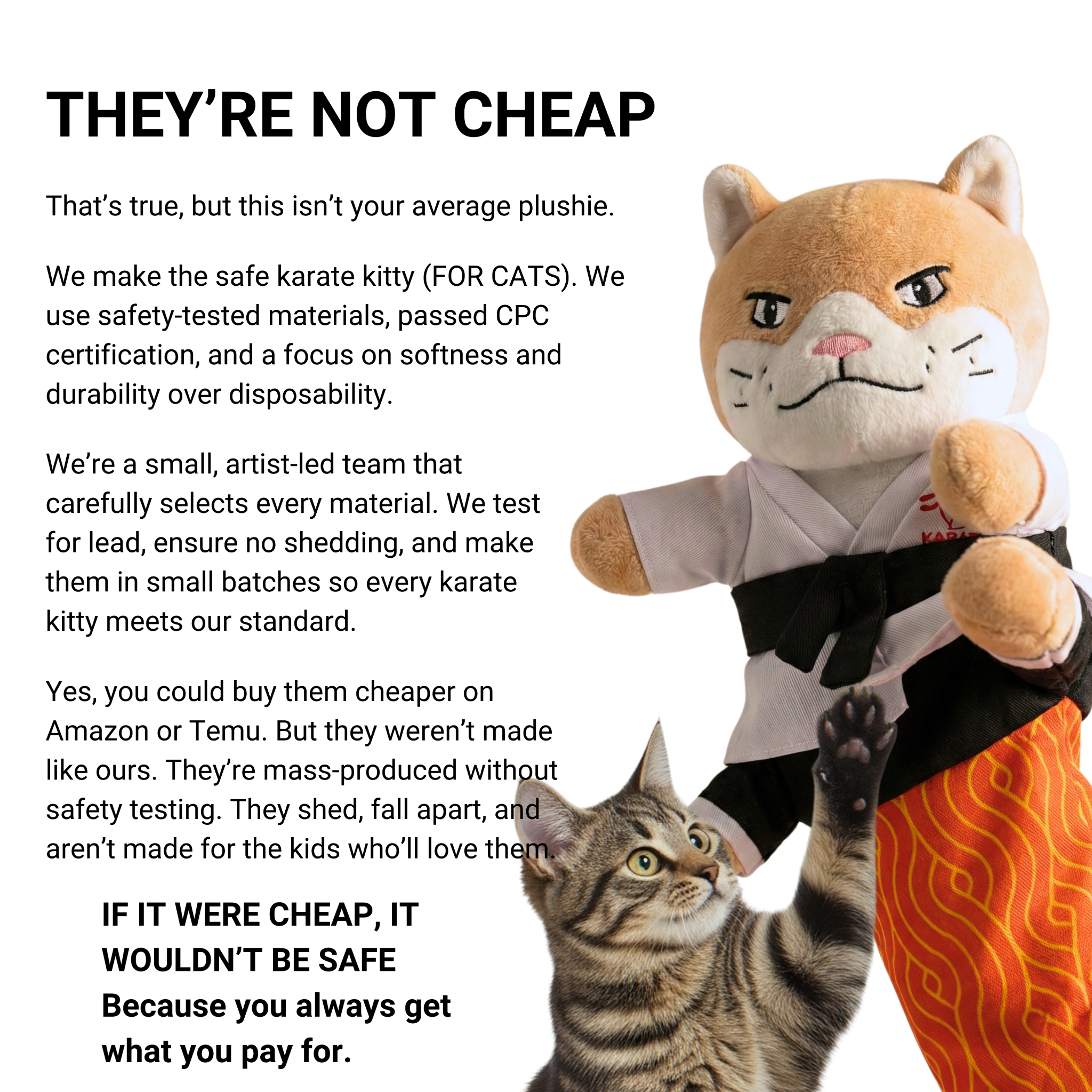 Karate Kitty Facebook ad