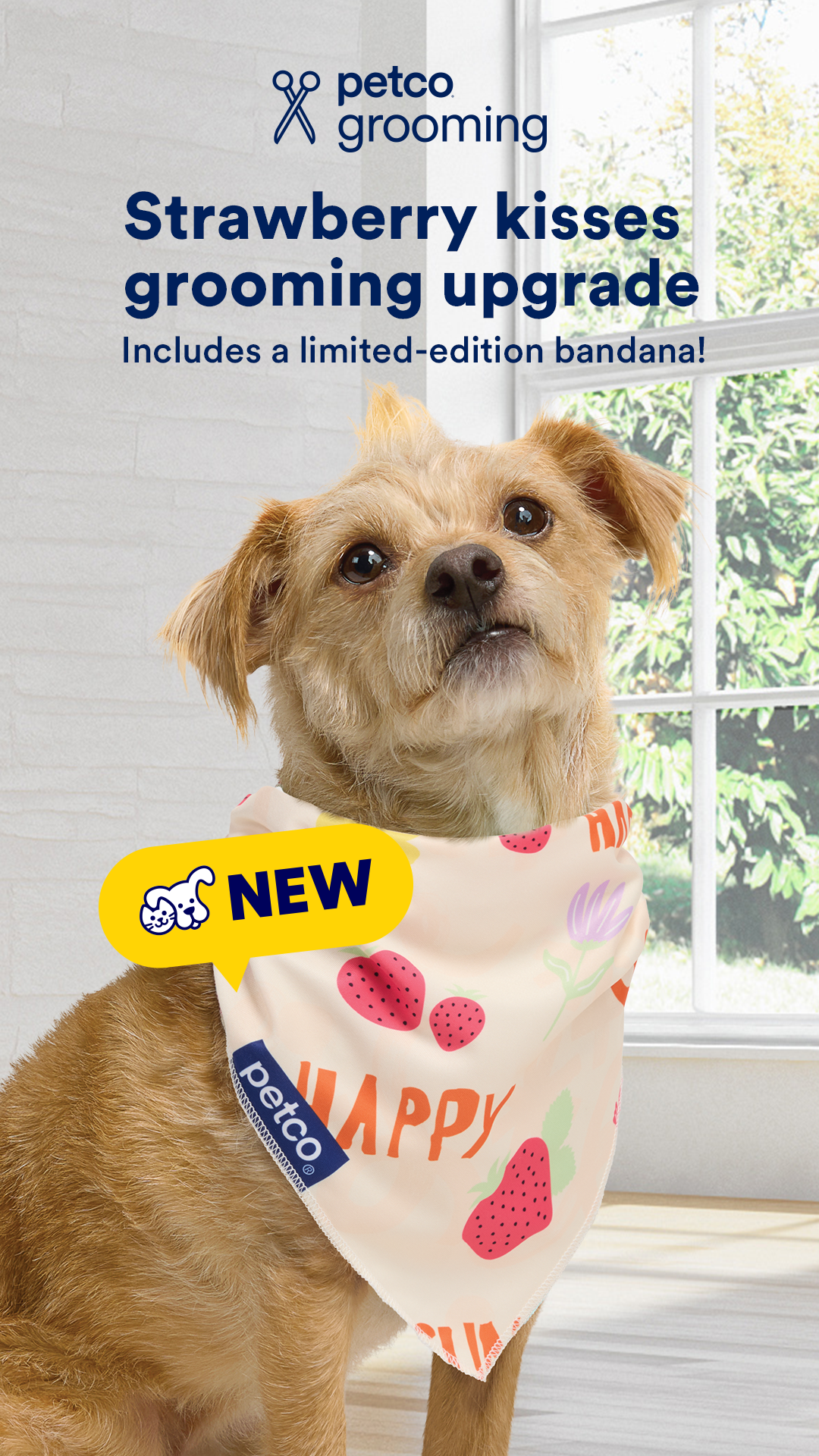 Petco Facebook ad