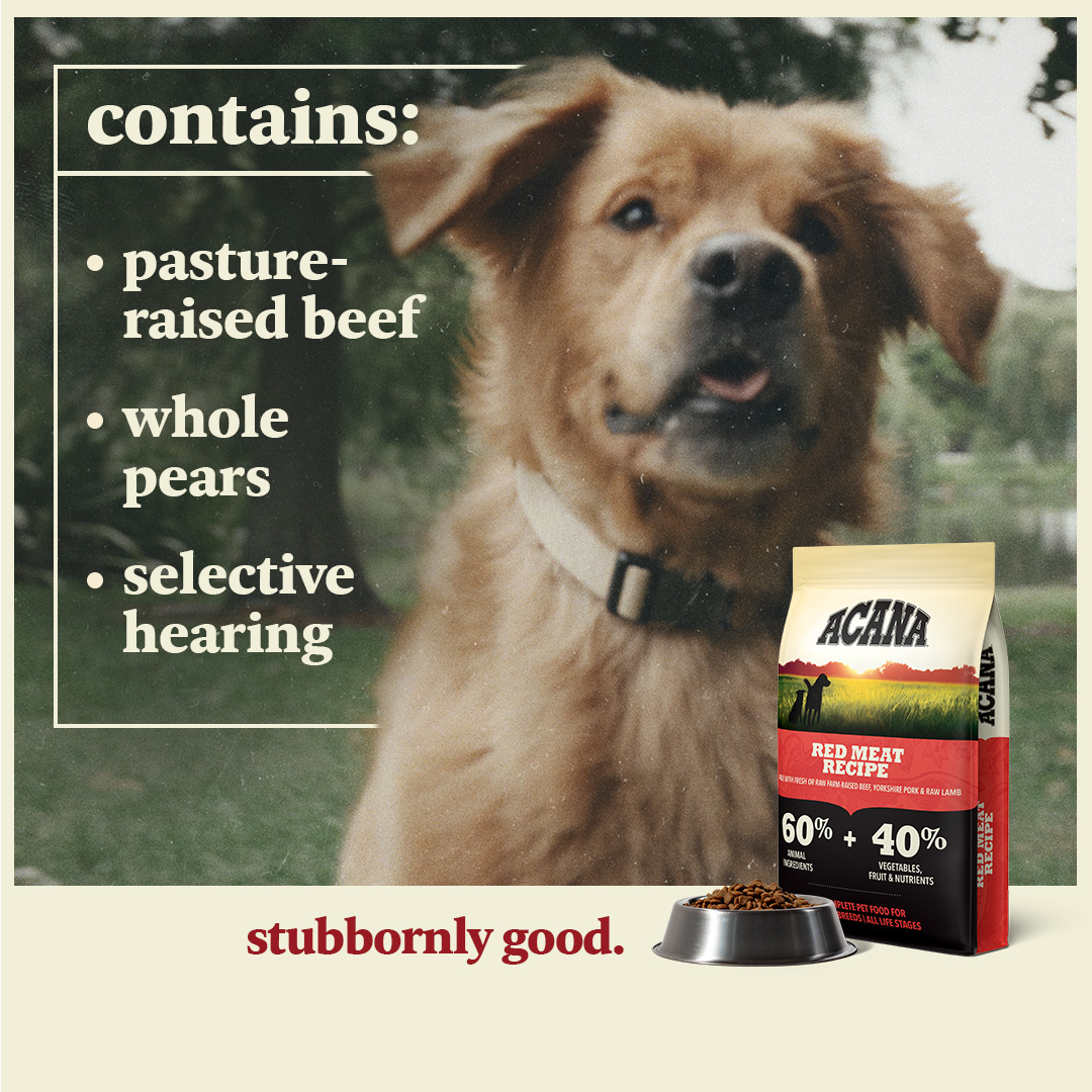 Petco Facebook ad