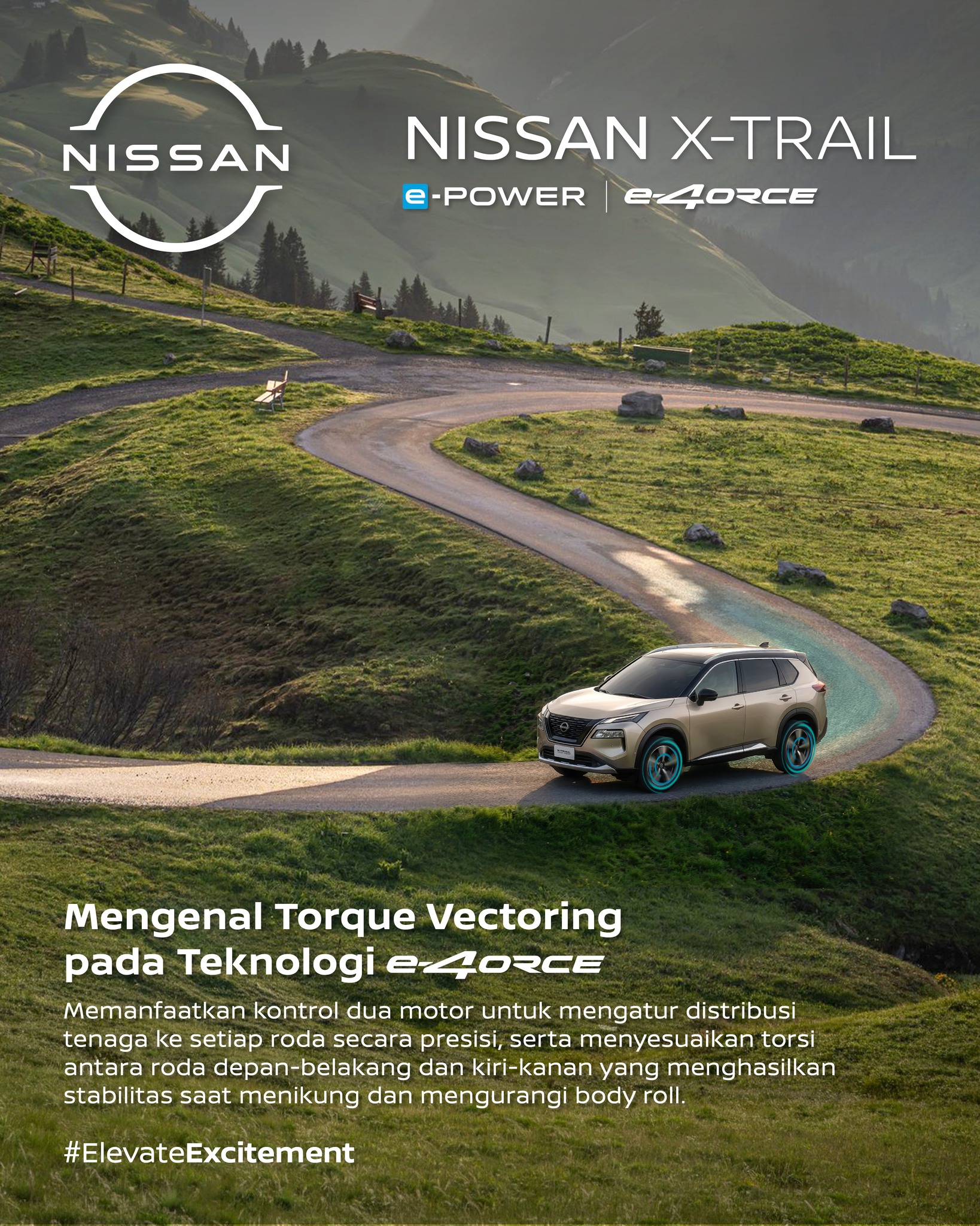 Nissan Facebook ad