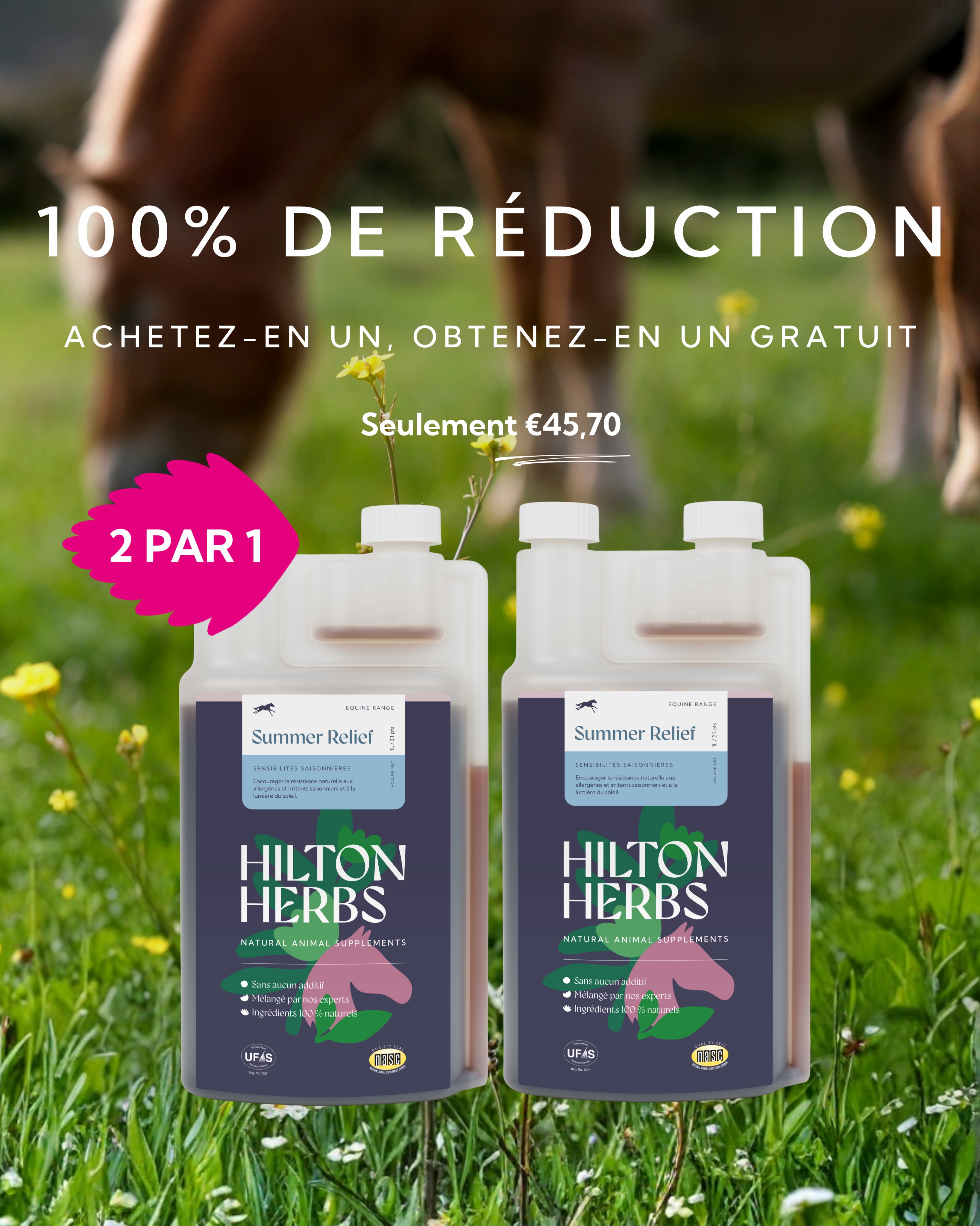 Hilton Herbs France Facebook ad