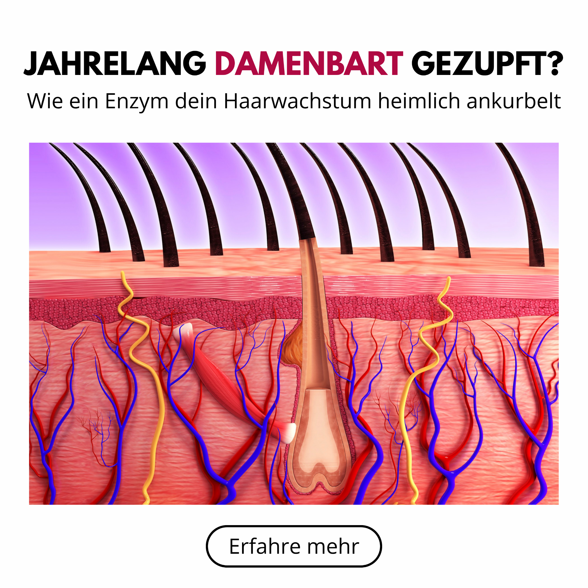 Emmas Lifestyle Tagebuch Facebook ad