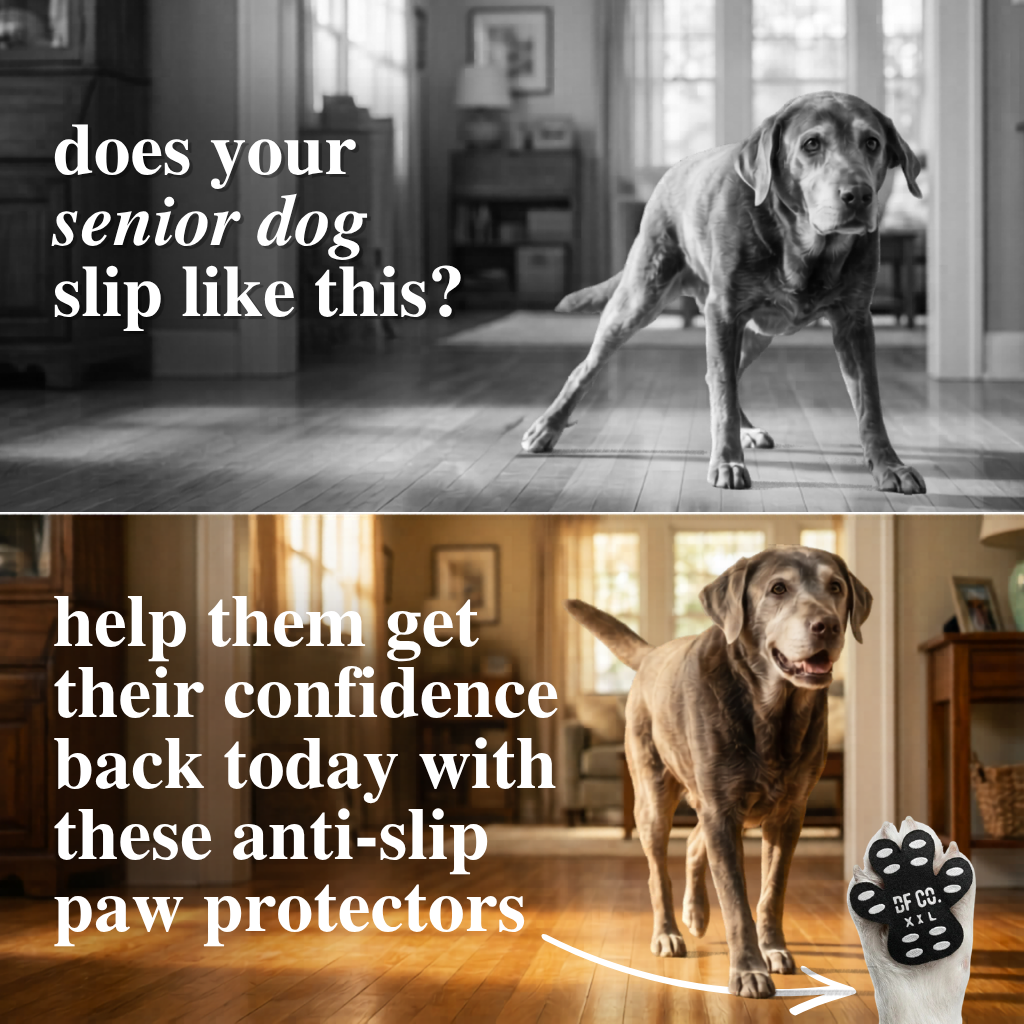 Dog Friendly Co. Facebook ad