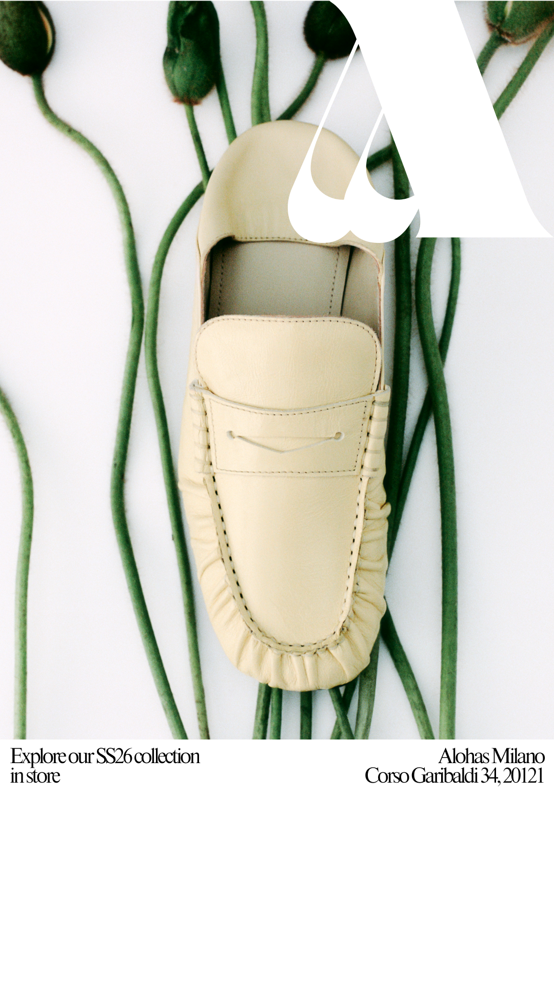 ALOHAS Facebook ad