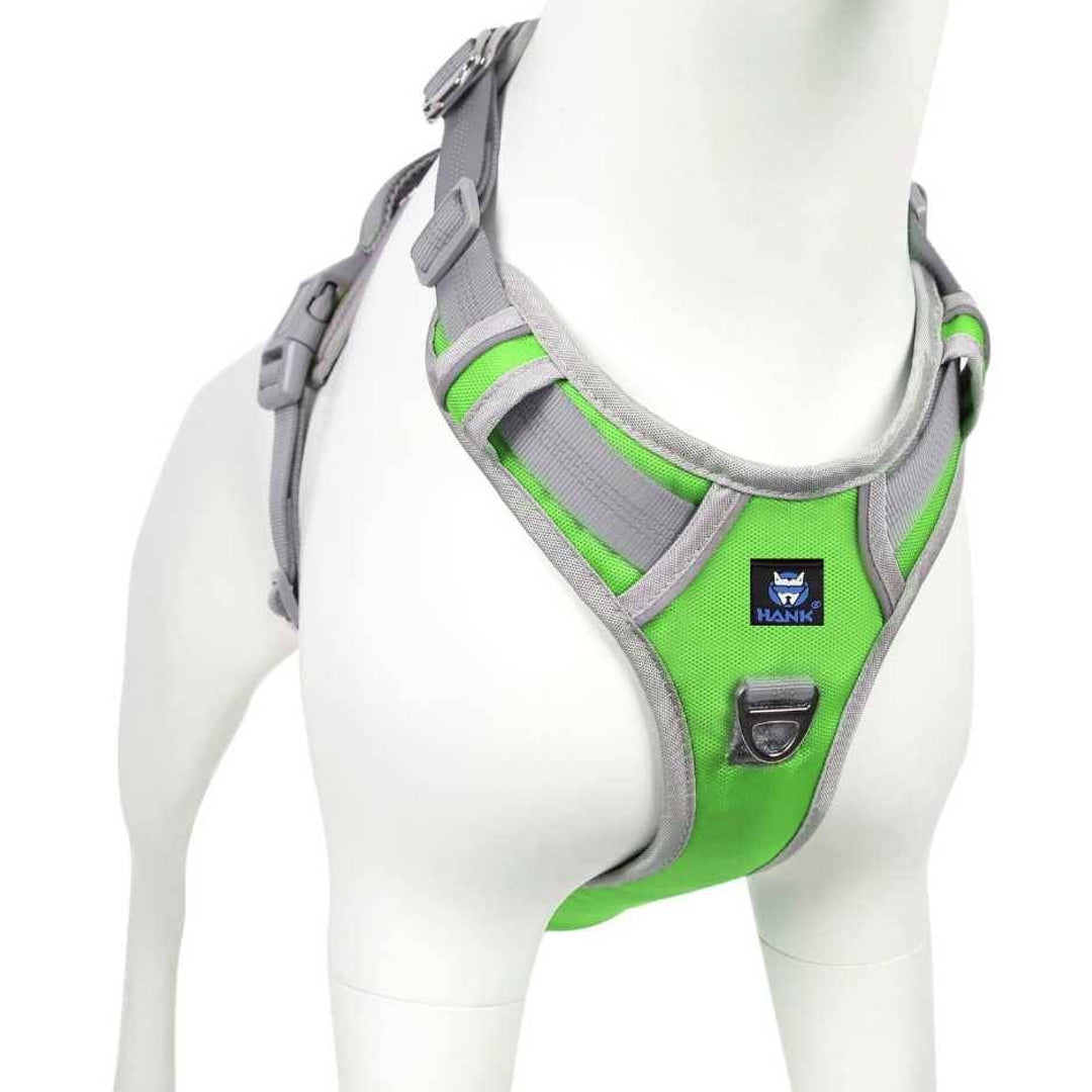 HankPets Facebook ad: Give Your Pet the Upgrade They Deserve!