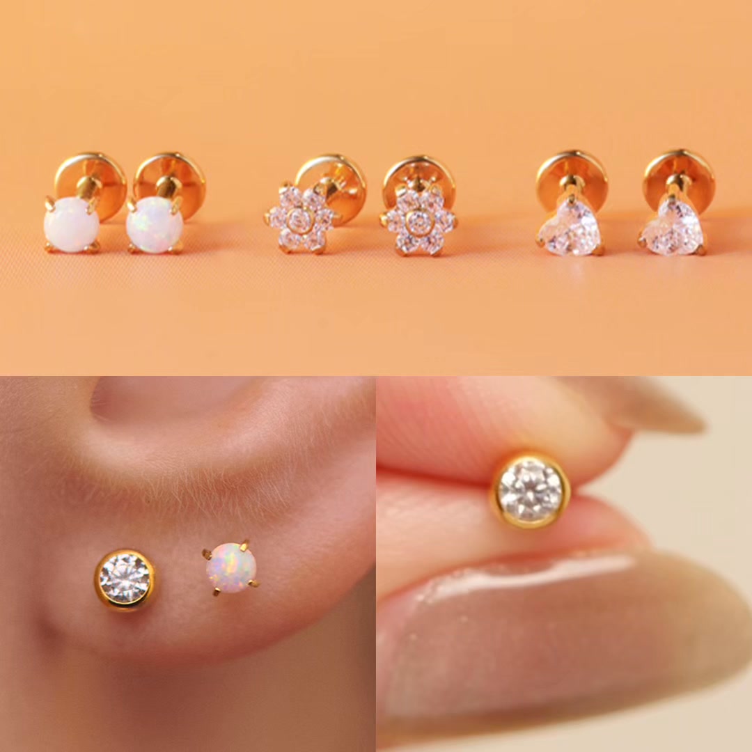 Penny Pairs Facebook ad: Titanium Everyday Earrings