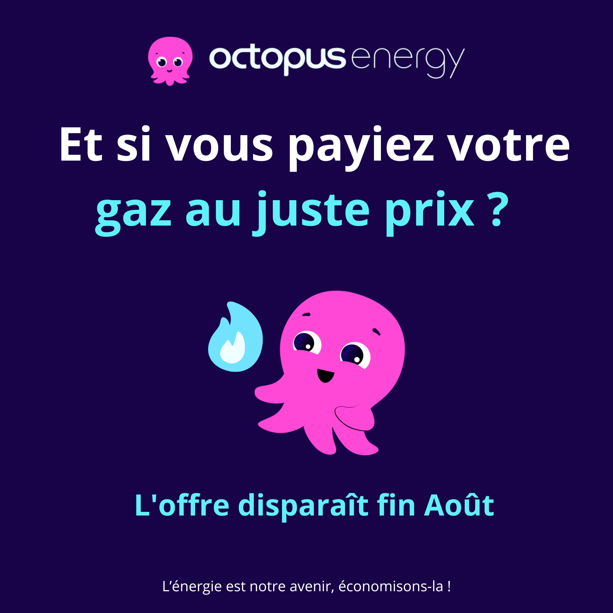 Octopus Energy Facebook ad