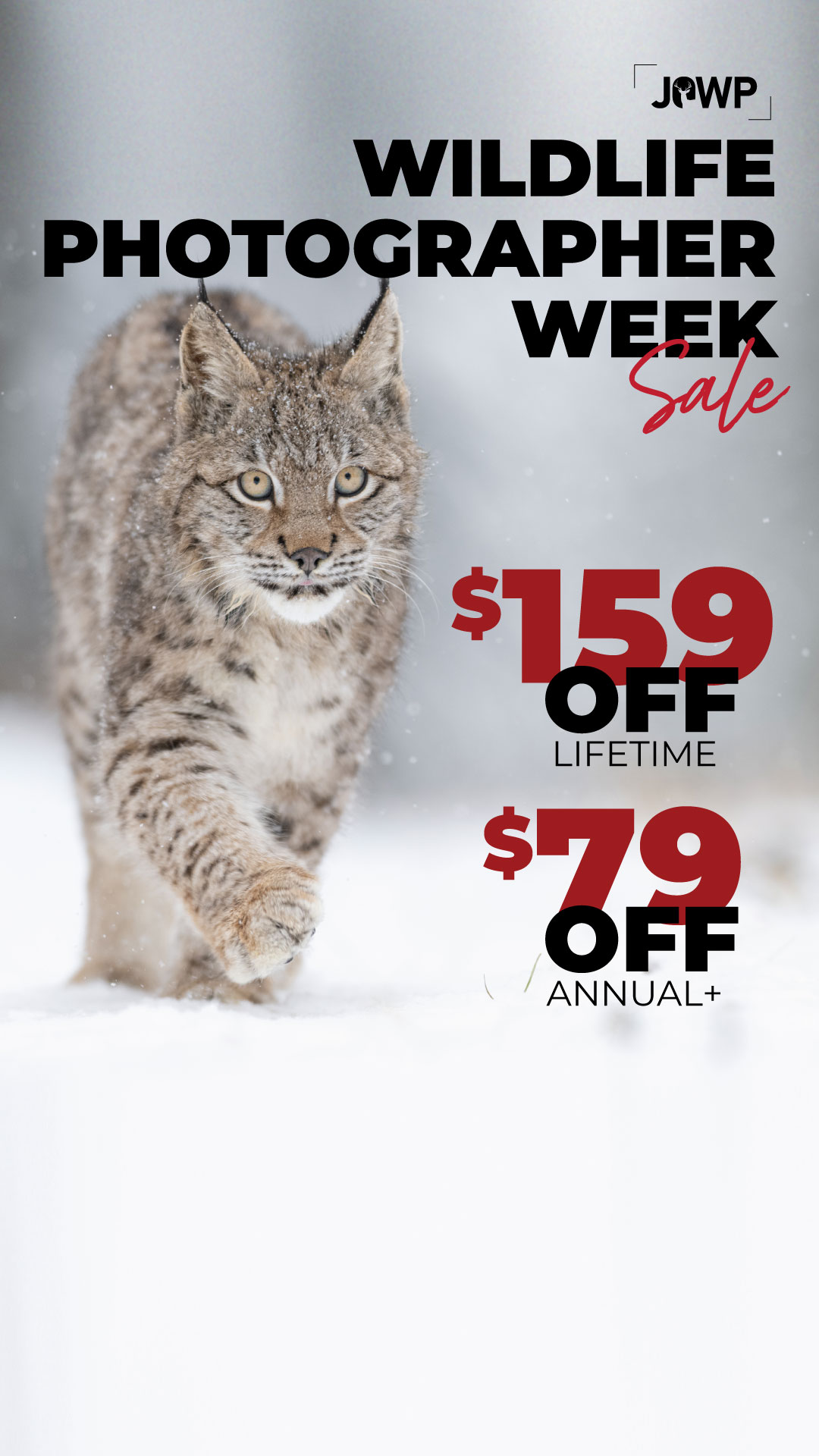 Journal of Wildlife Photography Facebook ad
