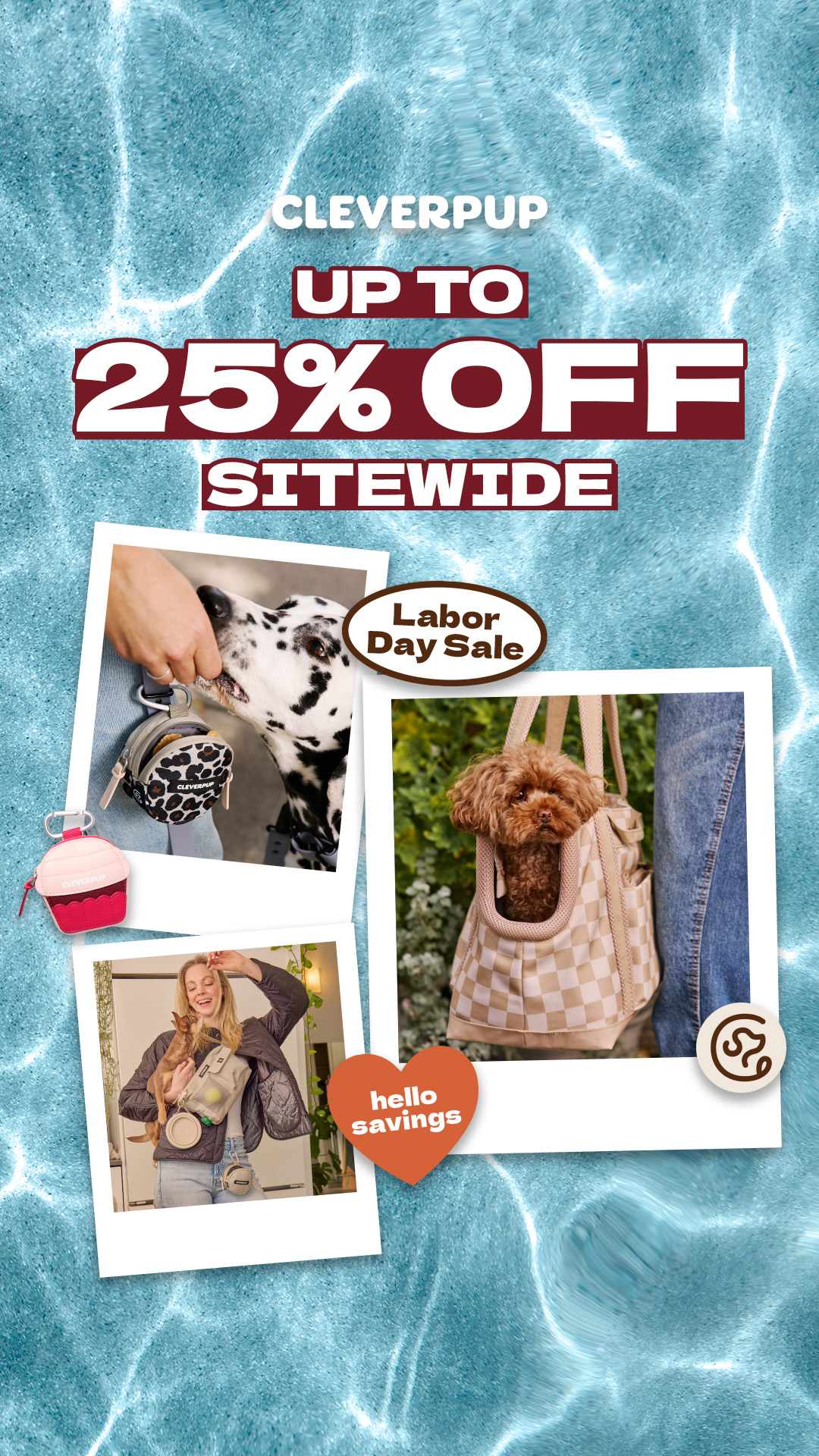 Cleverpup Facebook ad