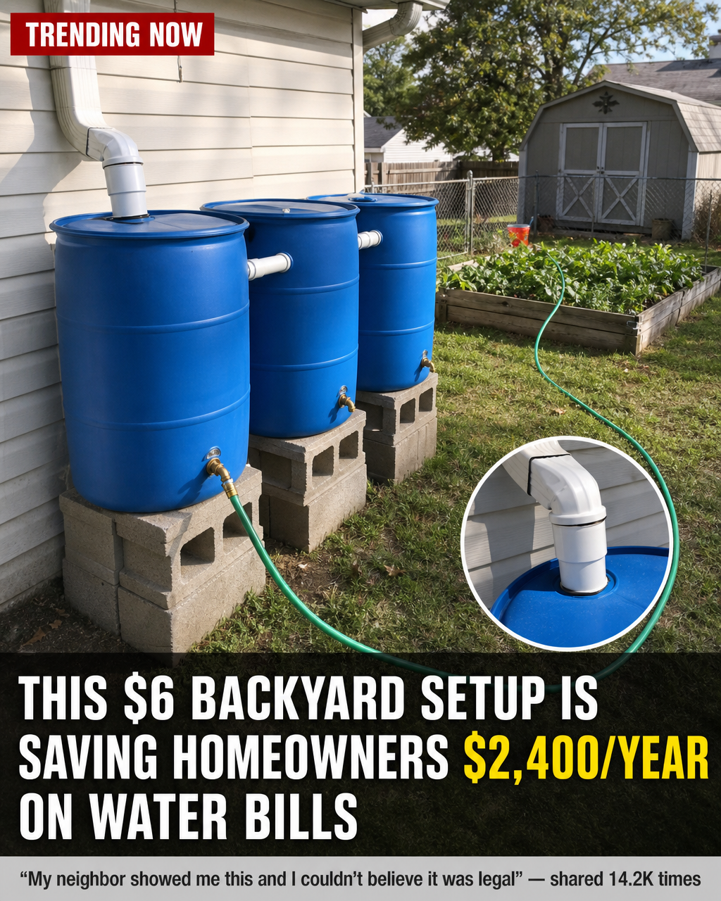 No Grid Survival Projects Facebook ad