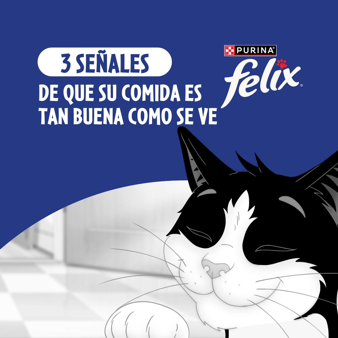 Purina Felix Facebook ad: Tu gato no podrá resistirse