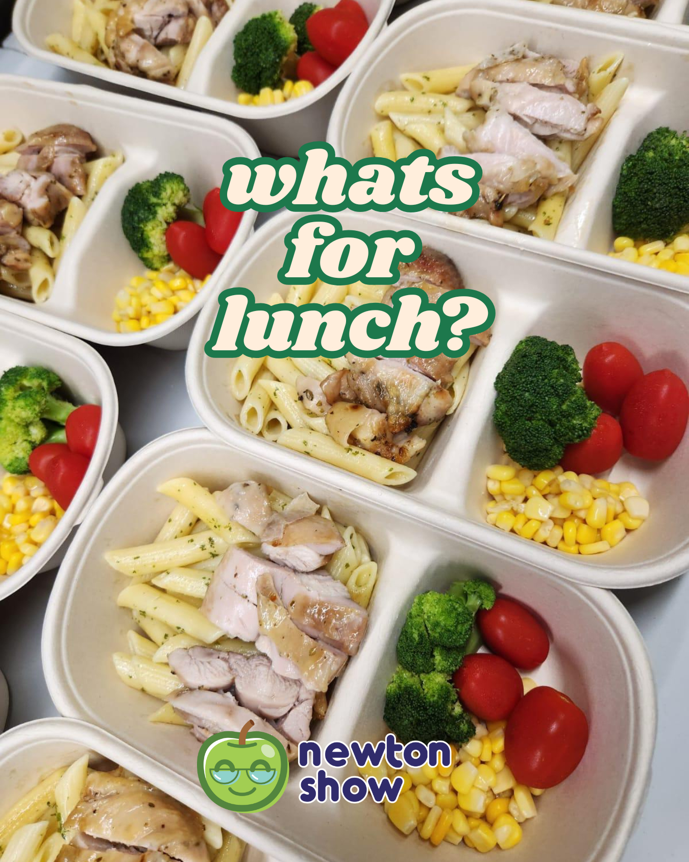Newtonshow Malaysia Facebook ad: Today’s Camp Lunch at Newtonshow
