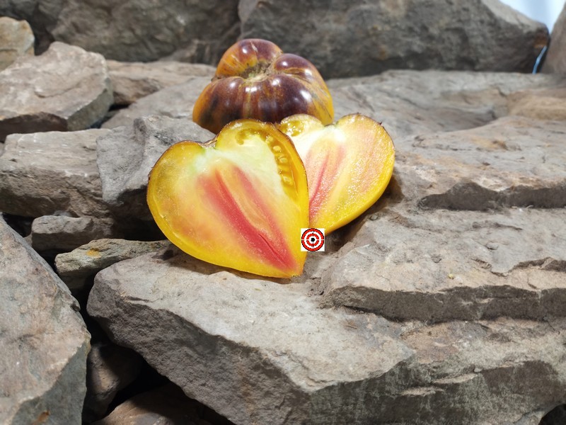 Bounty Hunter Seeds - Heirloom Seeds Facebook ad: Unlock the potential of your garden with our…