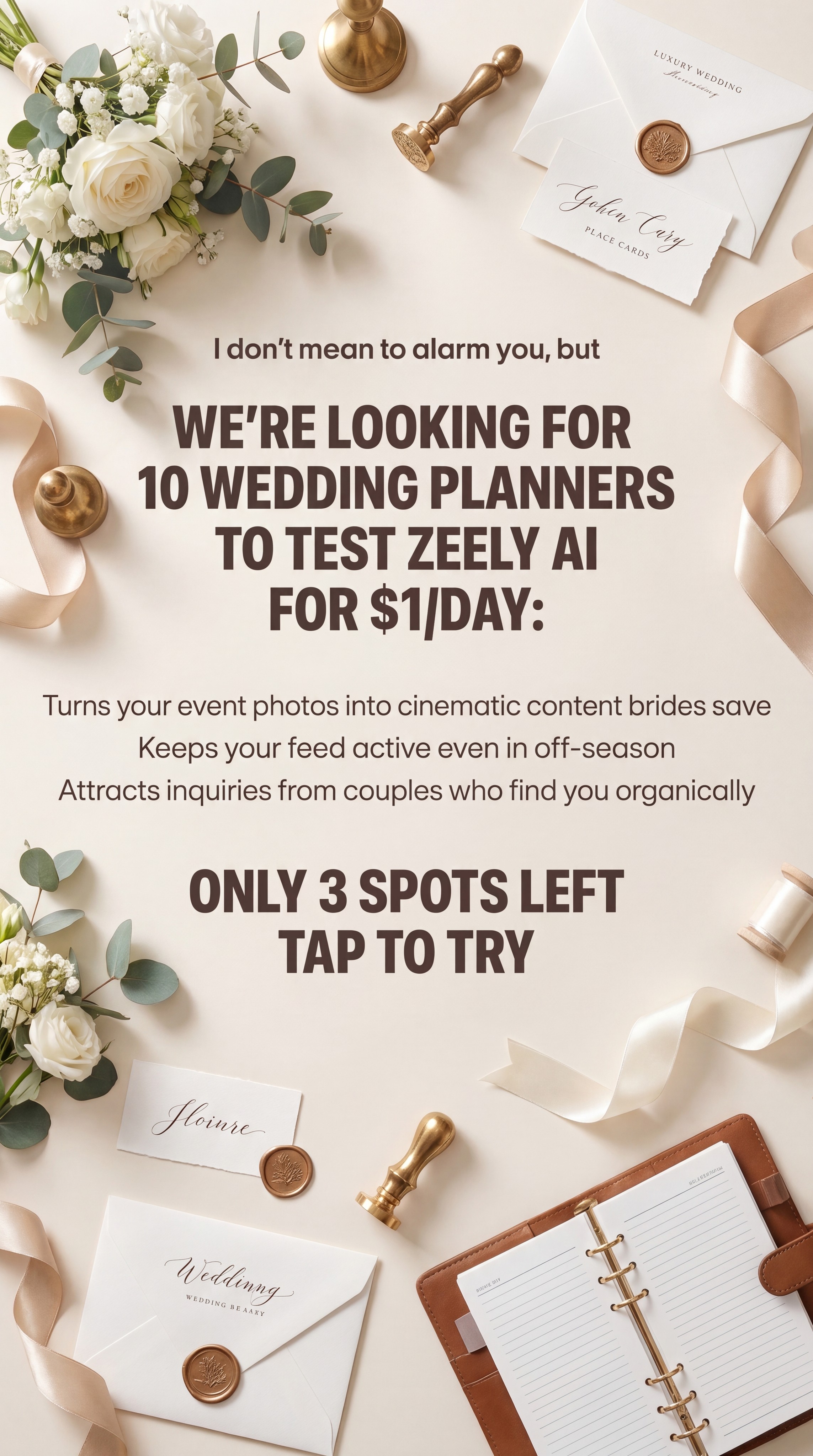 Zeely Facebook ad