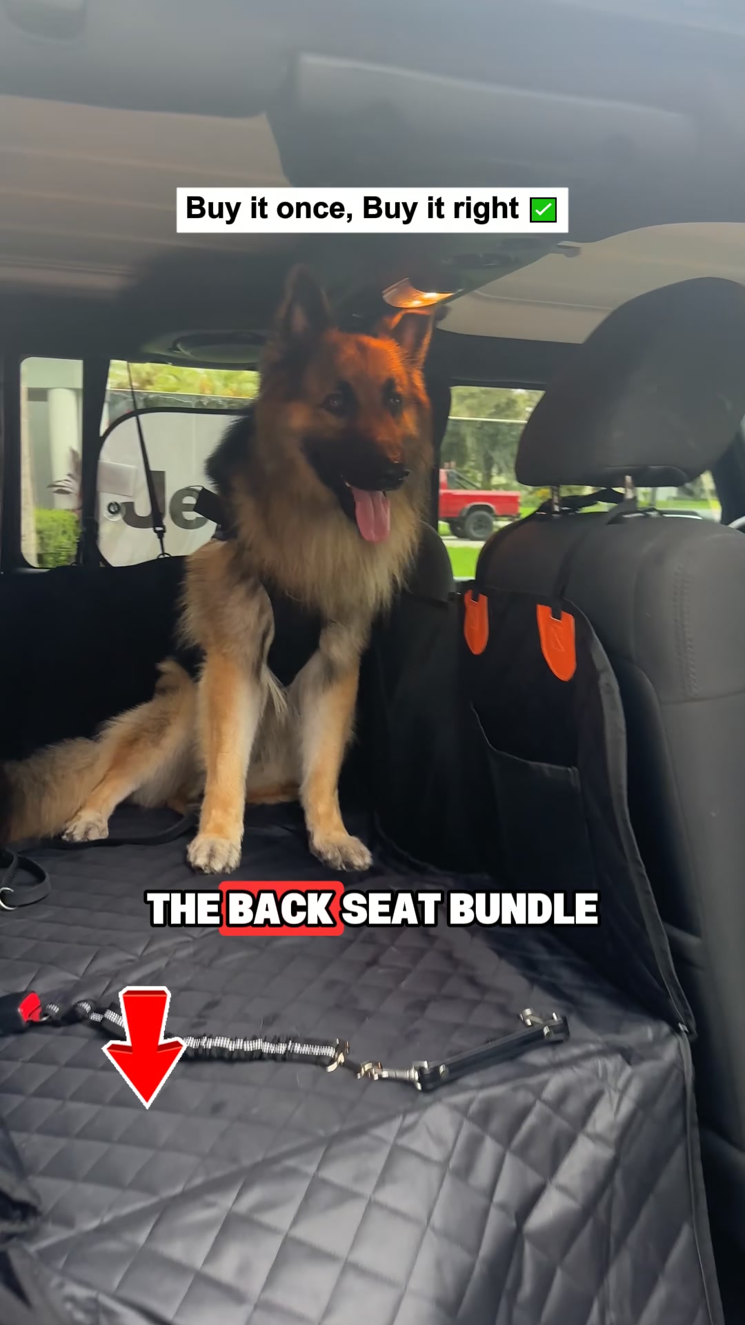 Pawpy Stuff Facebook ad: More space. Clean seats. Comfy dog!