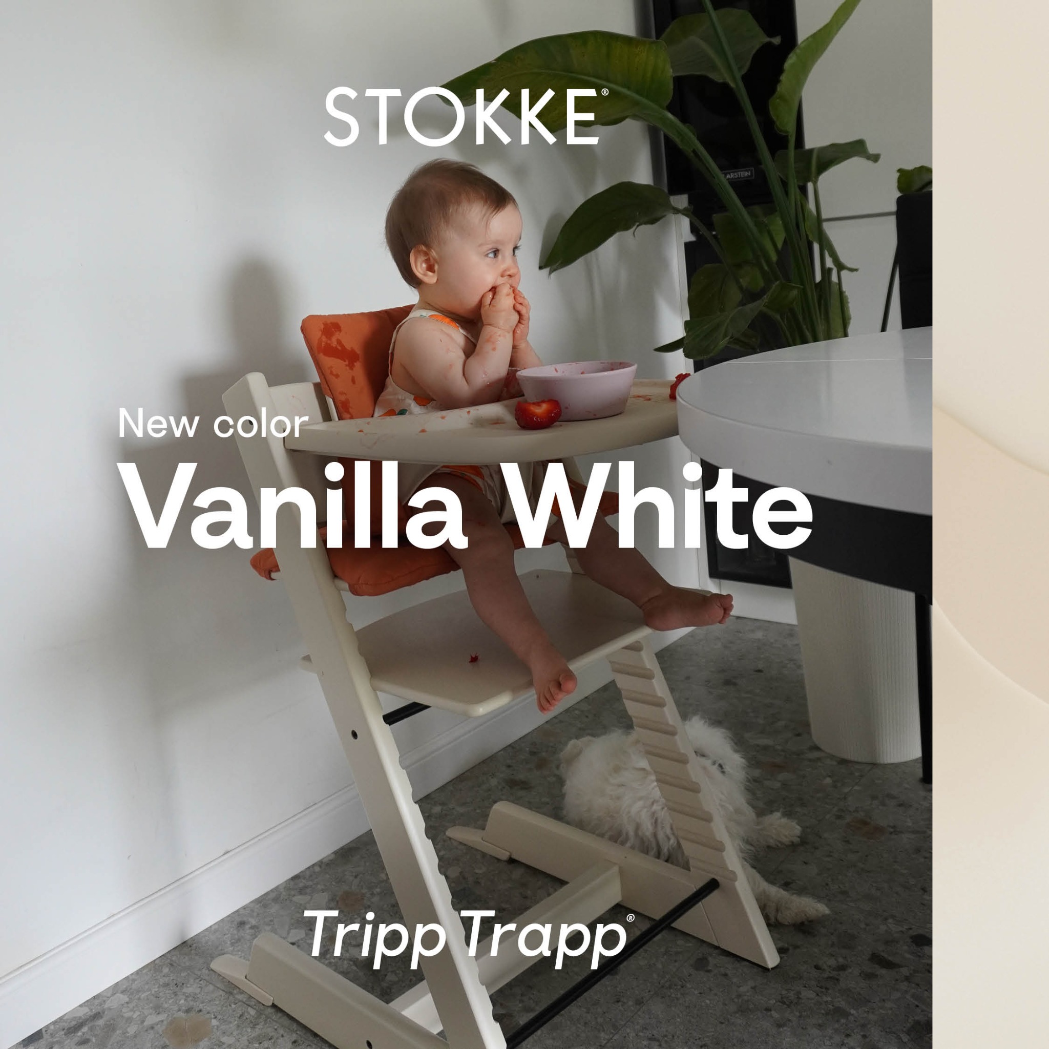 Stokke Mexico Facebook ad