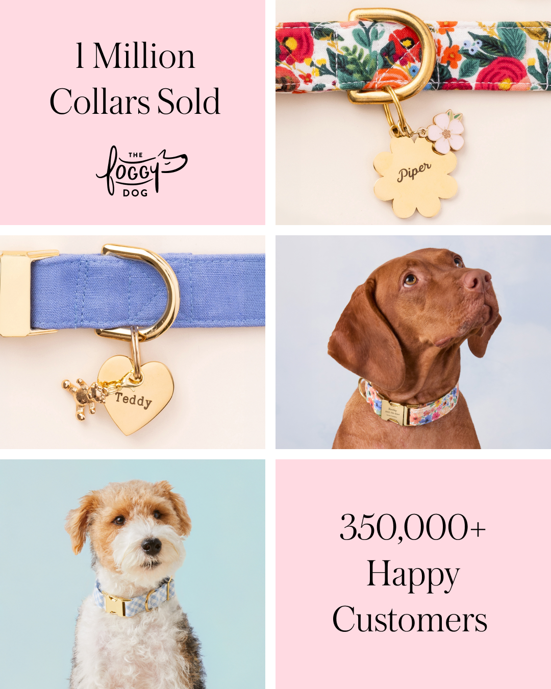 The Foggy Dog Facebook ad