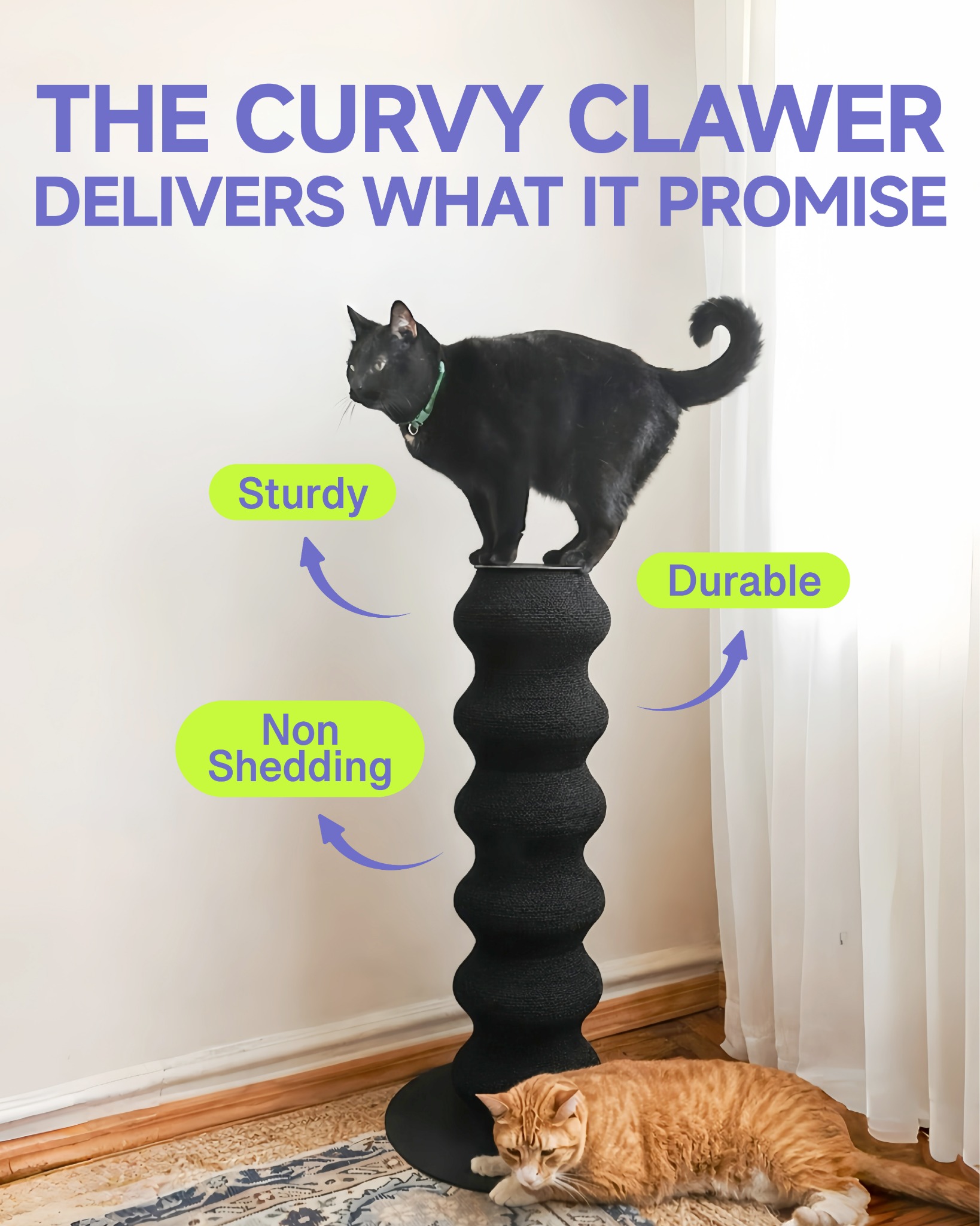 Furrytail_us Facebook ad
