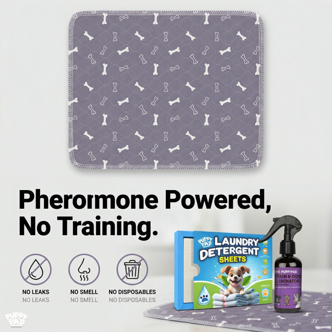 PuppyPad Facebook ad