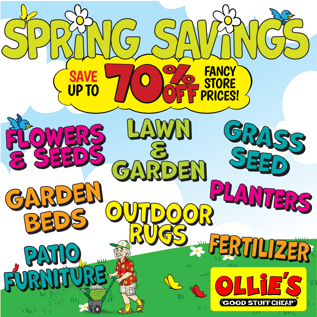 Ollie's Facebook ad