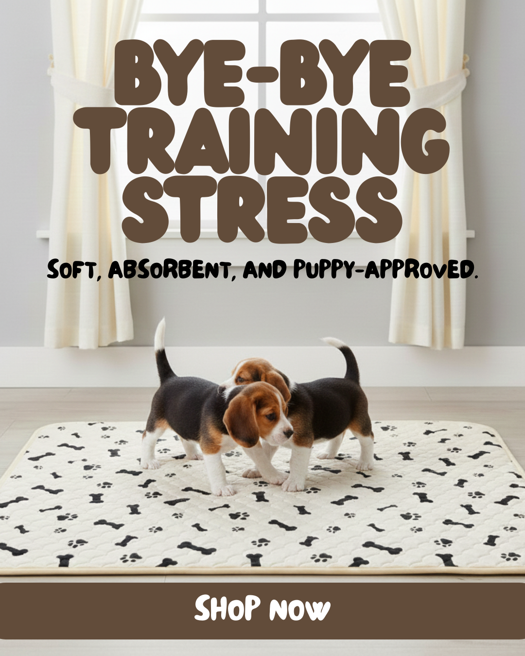 Potty Buddy Facebook ad