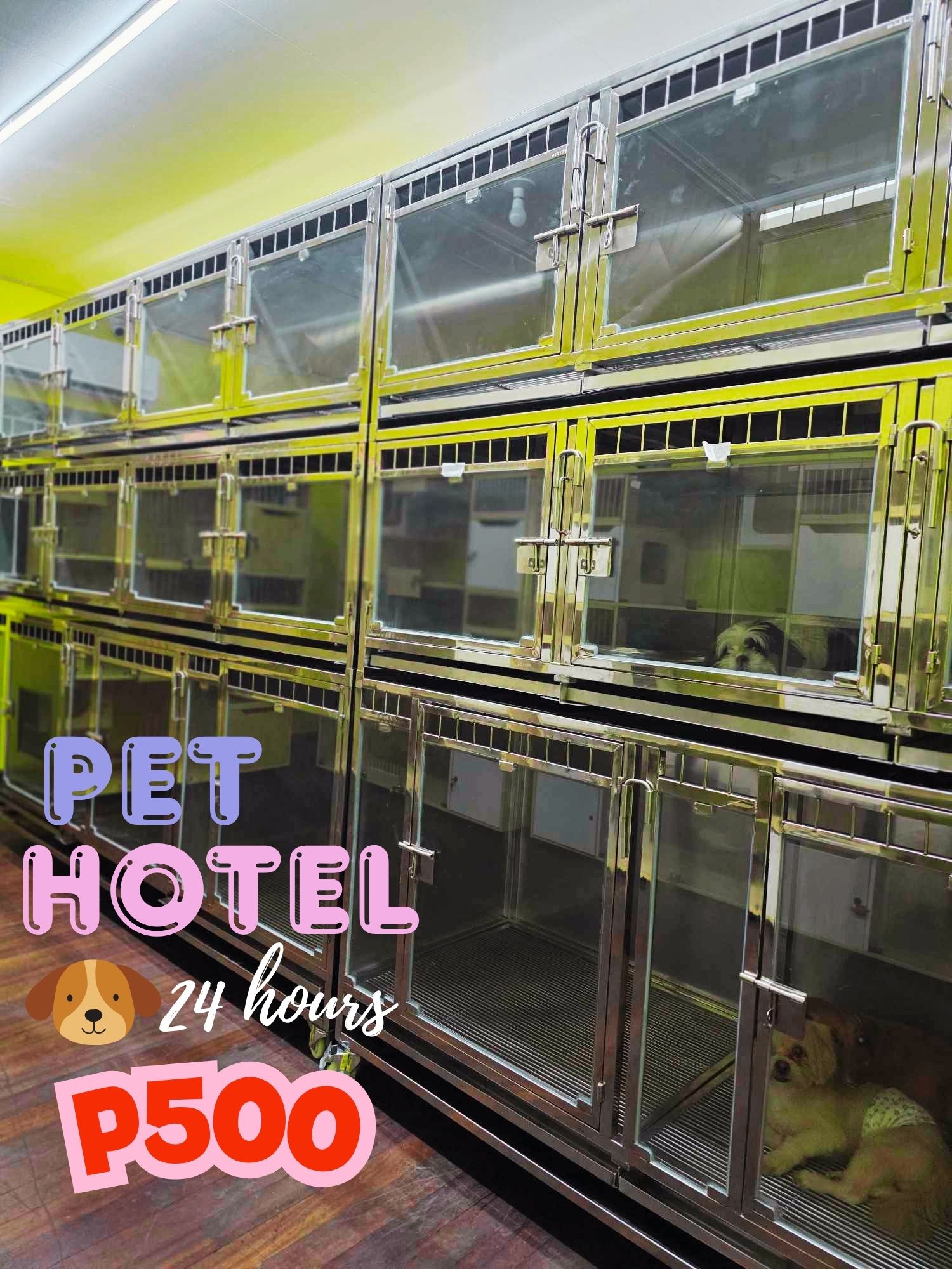 Love's Pet Store Facebook ad: BOOK NOW