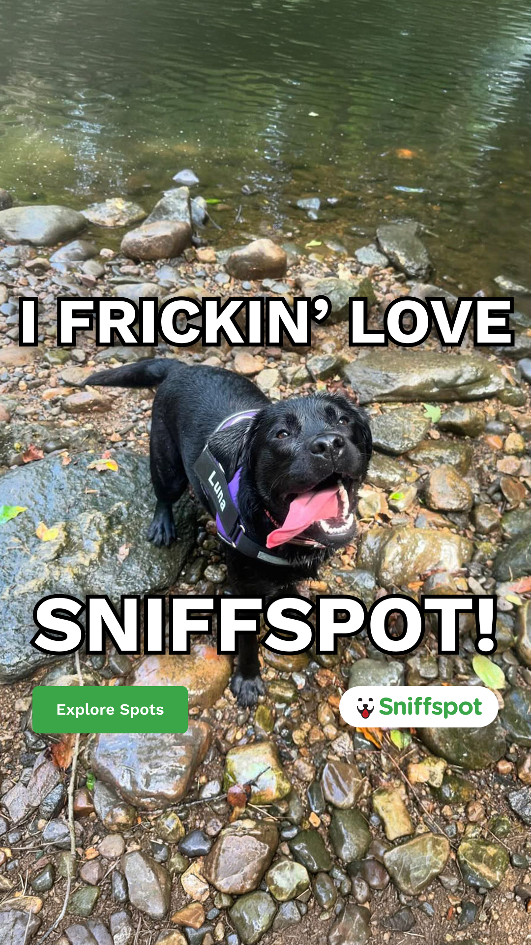 Sniffspot Facebook ad