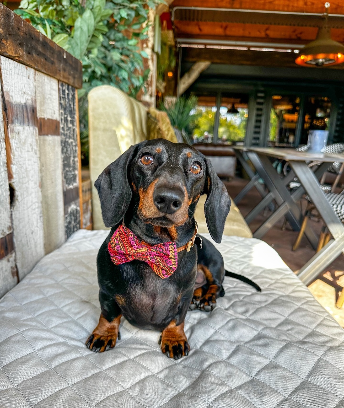 Bainland Lodge Retreats Facebook ad