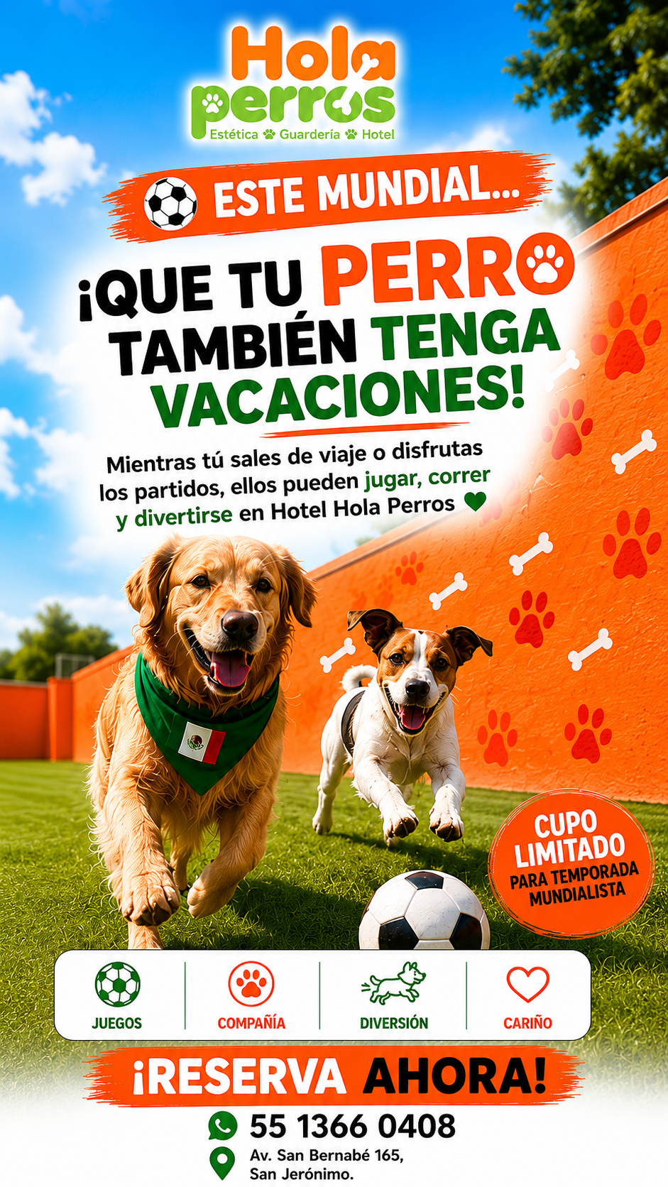 Holaperros.mx Facebook ad