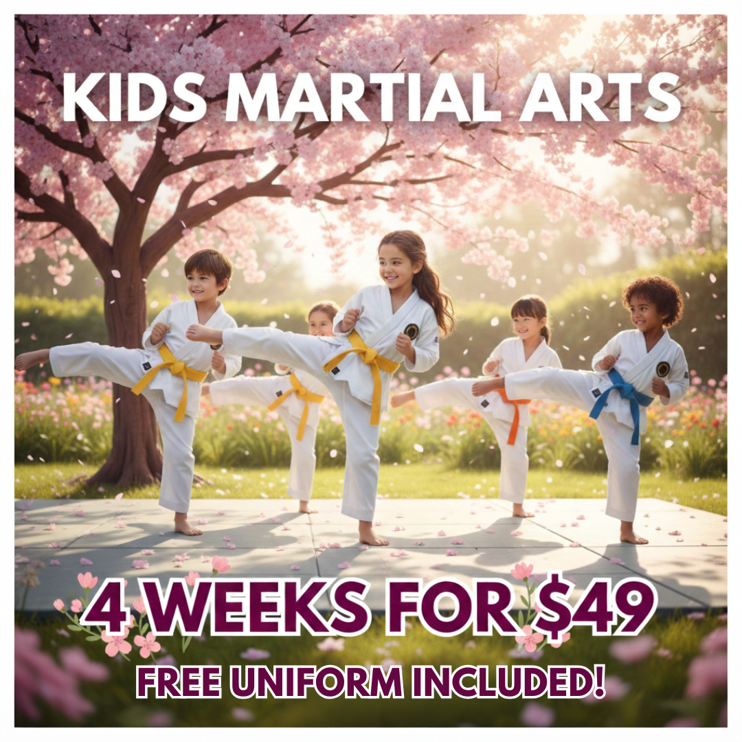 Peoria Championship Martial Arts Facebook ad