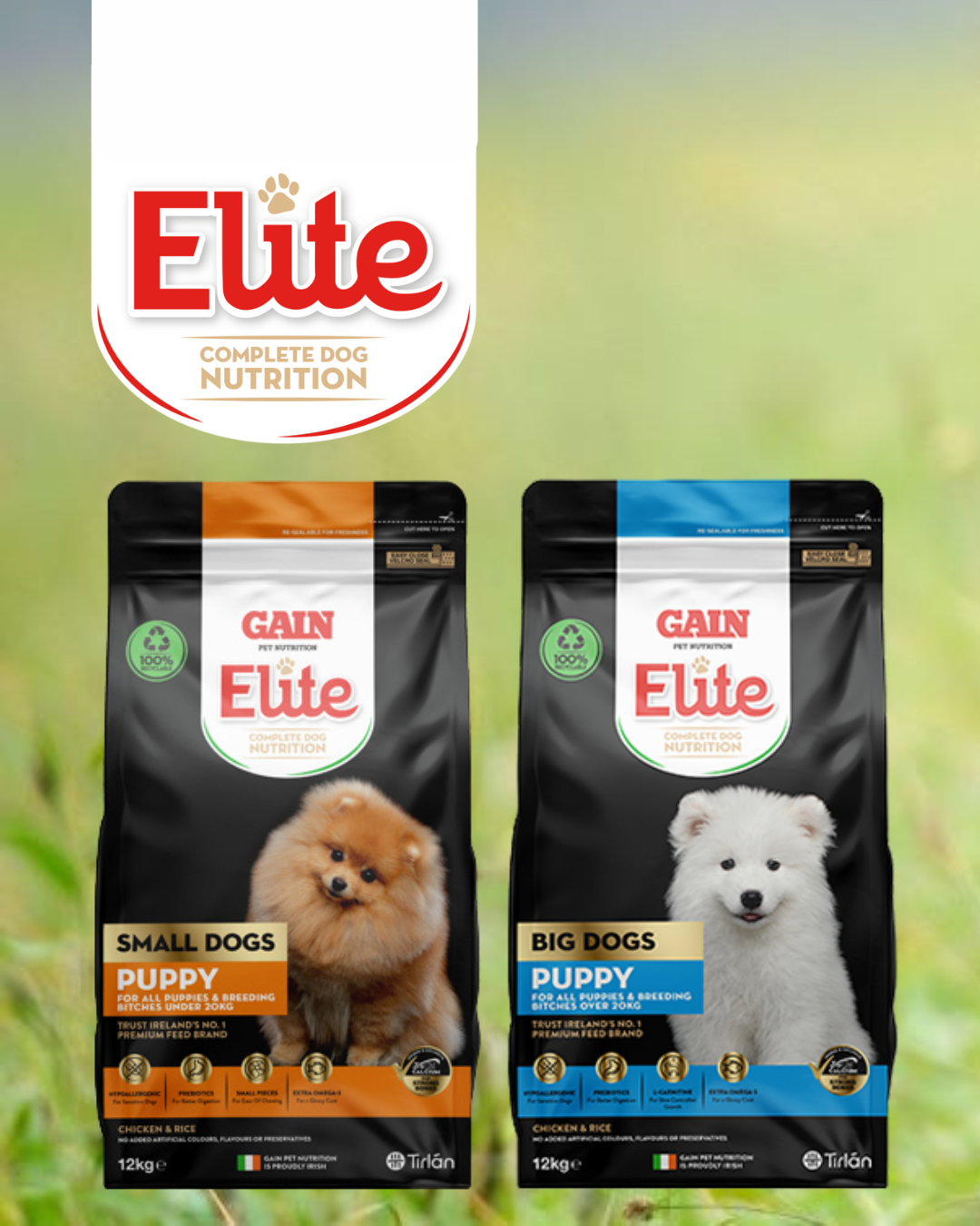 GAIN Pet Nutrition Facebook ad: Big dreams start with small bowls