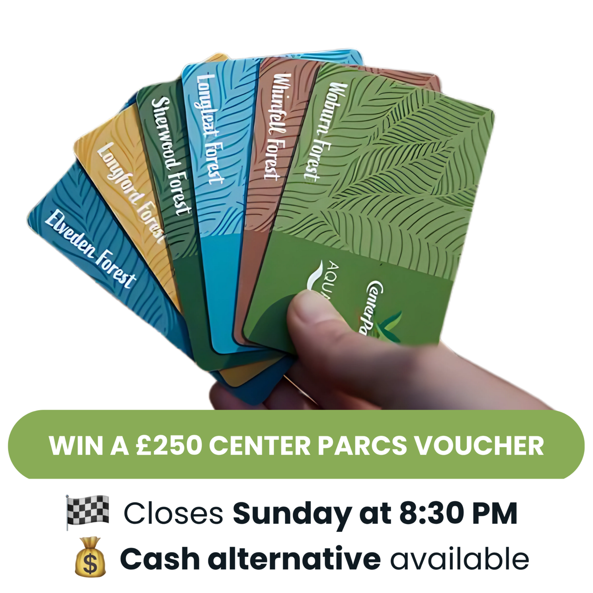 Win A Bundle Facebook ad