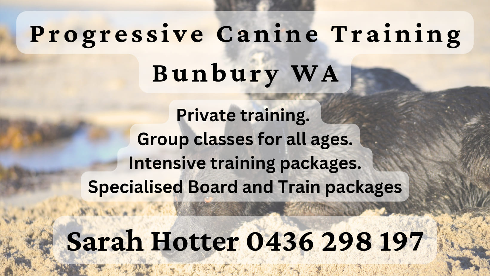 Progressive Canine Training Facebook ad