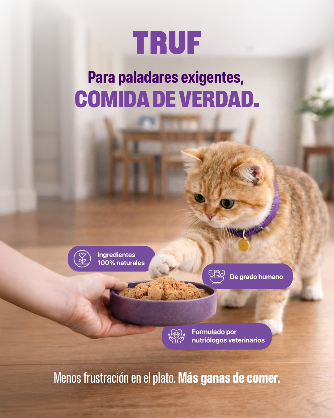 Truf.pet Facebook ad