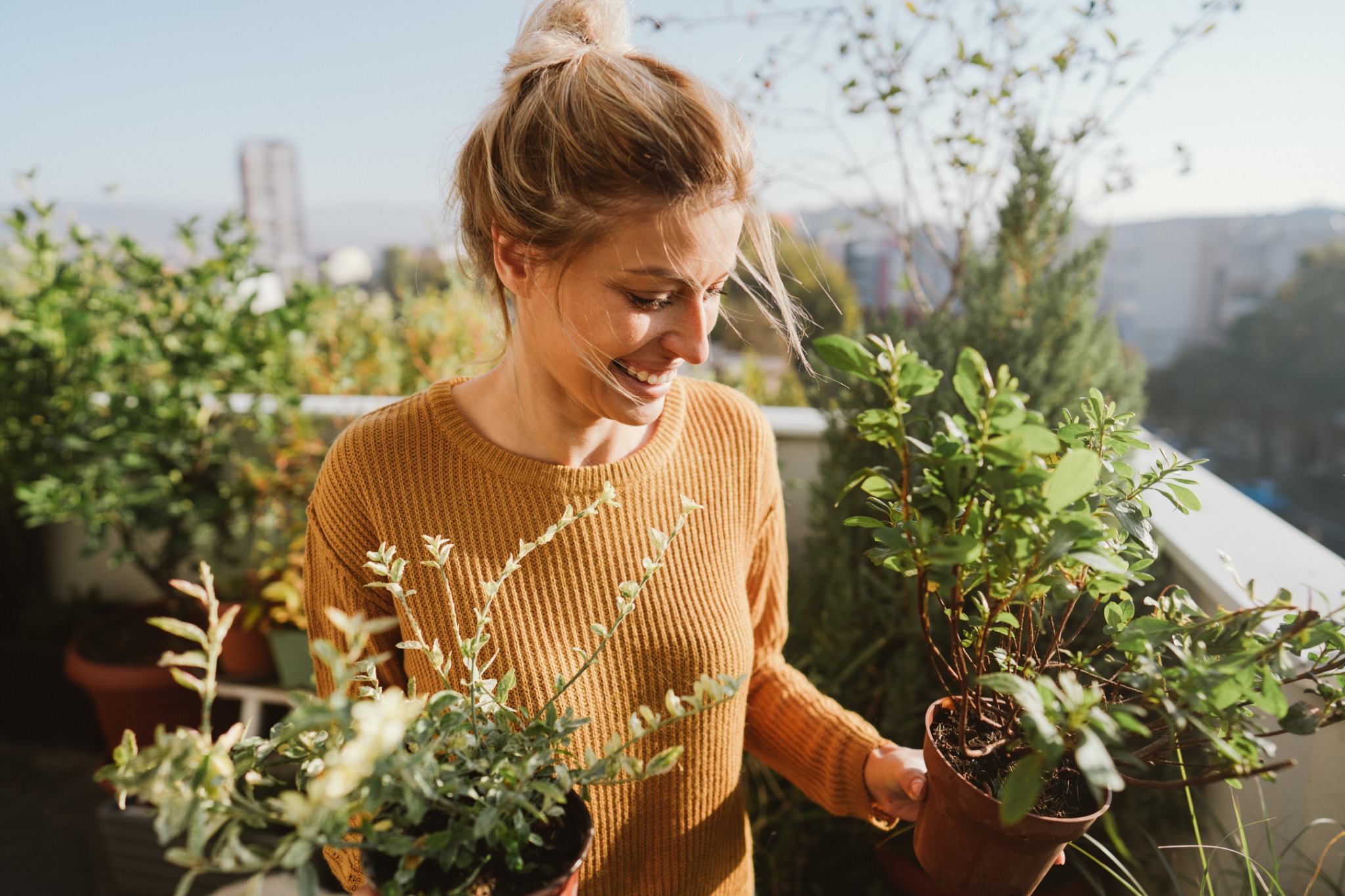 The Horticultural Correspondence College Facebook ad: Learn More About Gardening