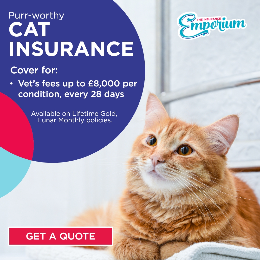 The Insurance Emporium Facebook ad