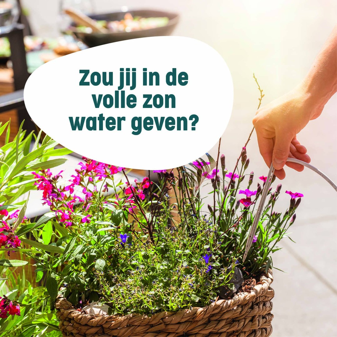 SummerRain_NL Facebook ad