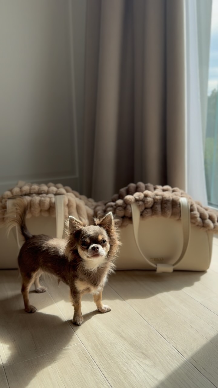 Chiboo Facebook ad: Jedna torba Mirel, a tyle możliwości
