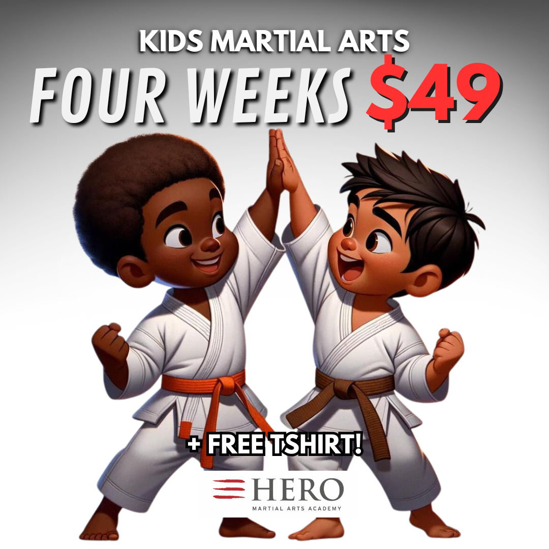 Hero Martial Arts & Leadership Academy Facebook ad