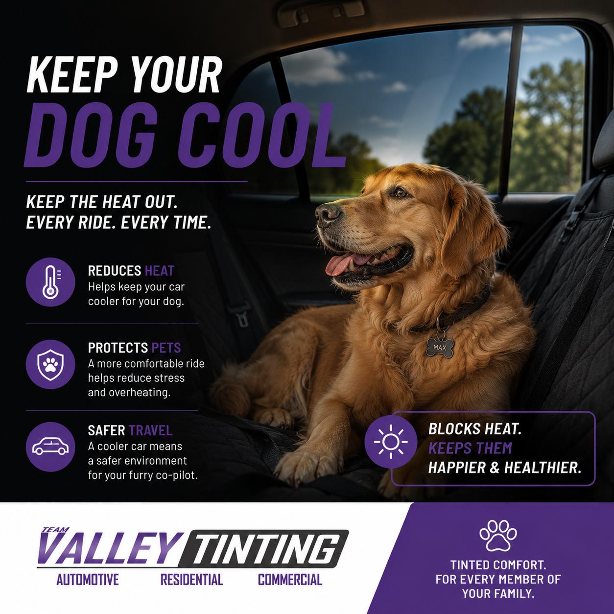 Team Valley Tinting Facebook ad