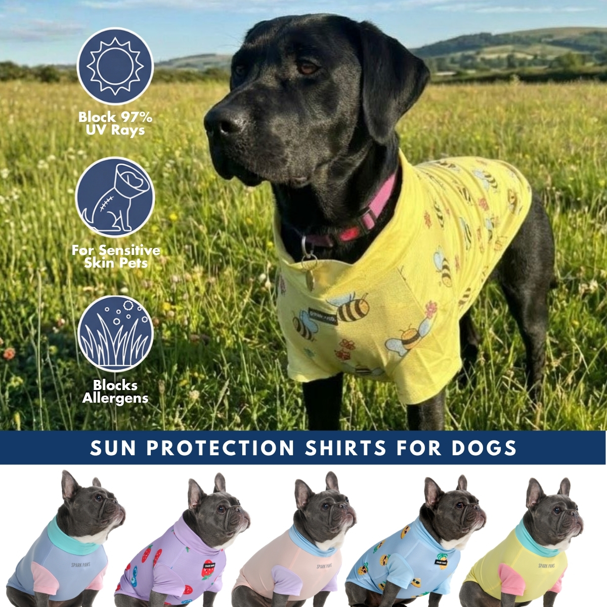 Spark Paws Facebook ad
